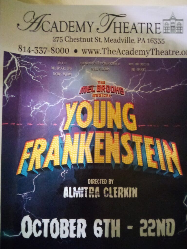 A poster for the young frankenstein musical.