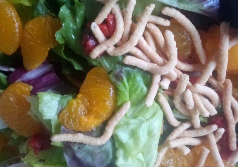 A salad with noodles and fruit on it.