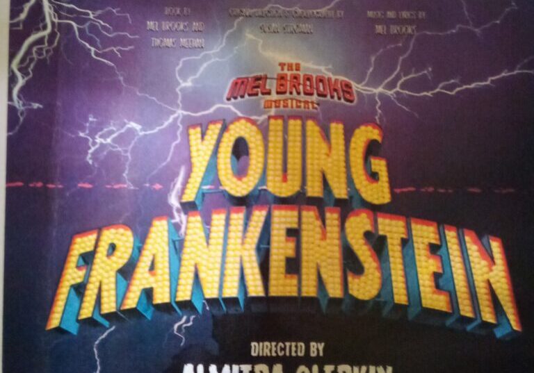 A poster for the young frankenstein musical.