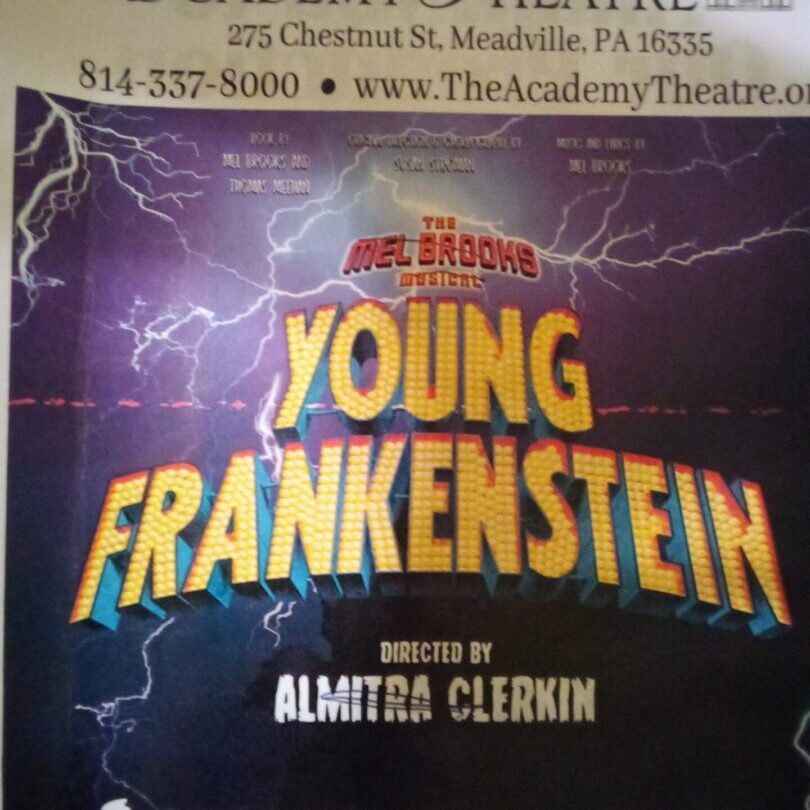 A poster for the young frankenstein musical.